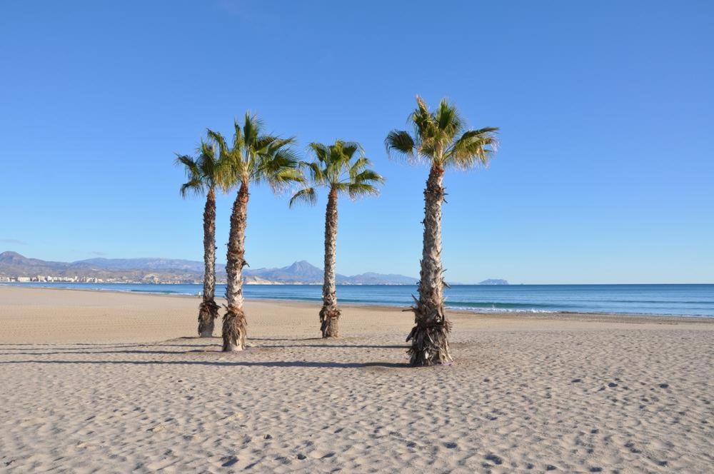 Playa De San Juan Apartment Benimagrell エクステリア 写真